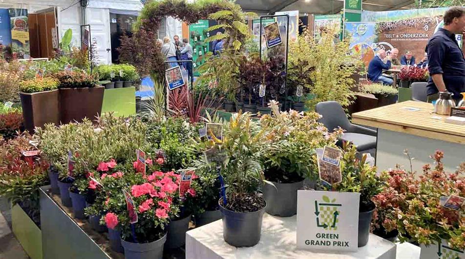 Award-winning plants at GrootGroenPlus